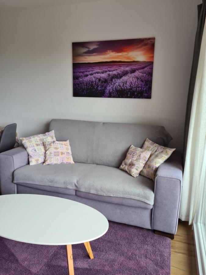 Apartman Luka Novigrad Istria Extérieur photo