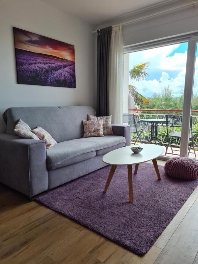 Apartman Luka Novigrad Istria Extérieur photo